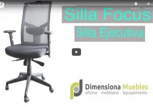 Silla Focus